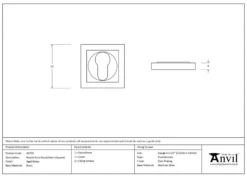 From The Anvil Aged Brass Square Rose Euro Escutcheon | 45710 -Home Door & Window Hardware Store 45710 tech.png.mst