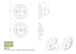 Delamain Satin Chrome Large Snib Turn And Release | DK12SC