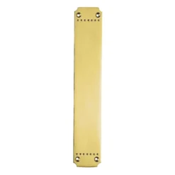 369x64mm Polished Brass Laurin Push Plate